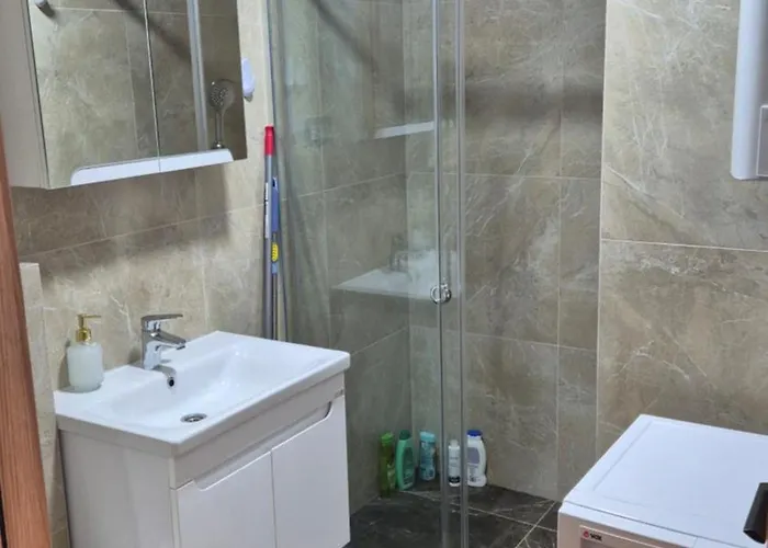 Srebrna Pahulja ズラティボール